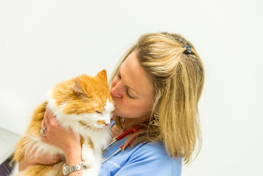 health | Riverwood Veterinary Clinic