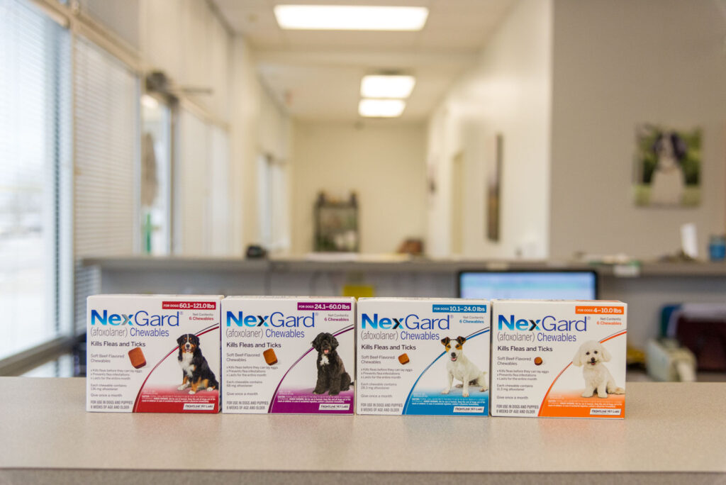 nexgard | Riverwood Veterinary Clinic