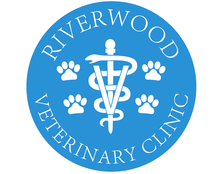 Full-Service Pet Hospital - Riverwood Veterinary Clinic