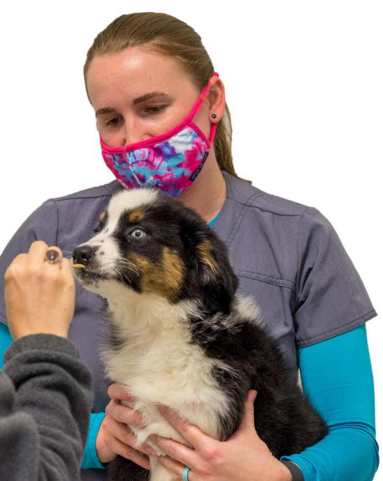 Full-Service Pet Hospital