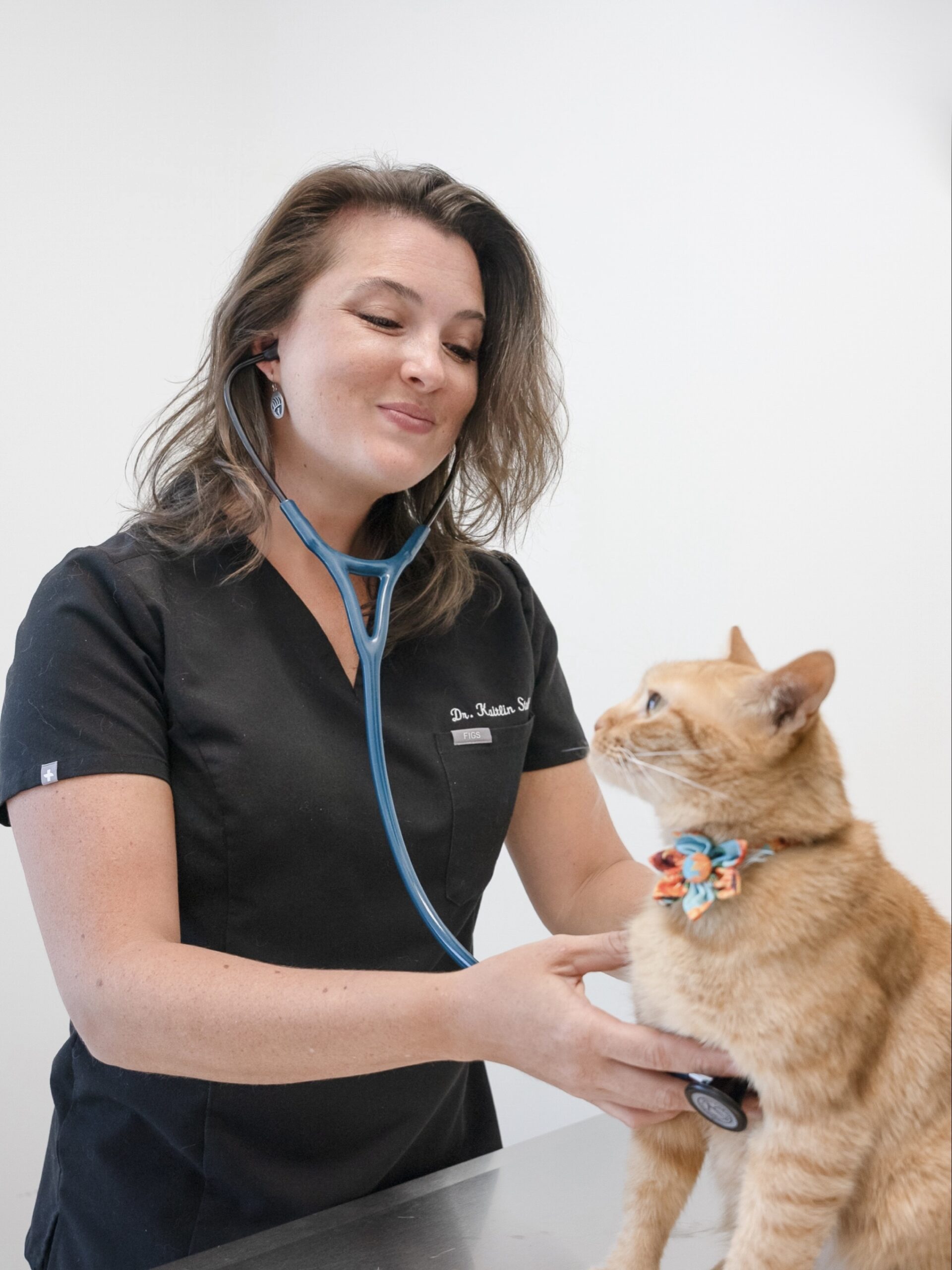 Full-Service Pet Hospital